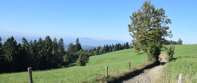 Schronisko PTTK na Maciejowej ↔ Las Pański