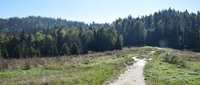 Przełęcz Pośrednie