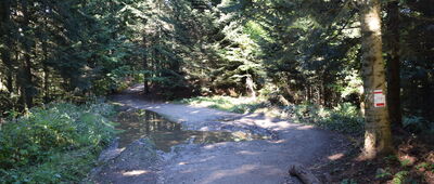 Jasionów ↔ Przełęcz Pośrednie