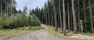 Głaziska Janowickie