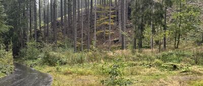 Rozdroże pod zamkiem Bolczów