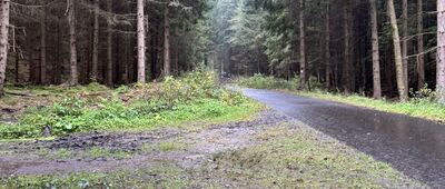 Rozdroże pod zamkiem Bolczów