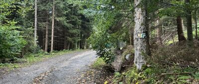 Krowiarka ↔ Rozdroże pod zamkiem Bolczów