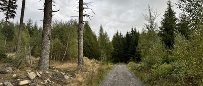 Polana Mniszkowska ↔ Ścieżka dydaktyczna, Miedziane Skały