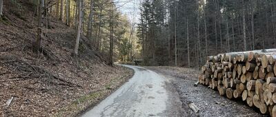 Żabnica, Kolonia ↔ Żabnica, Skałka