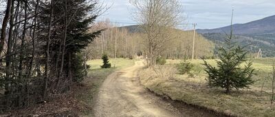 Abrahamów, rozejście szlaków