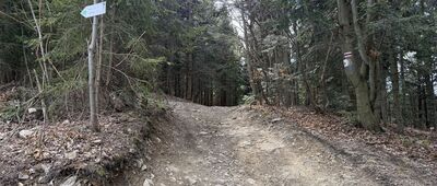 Abrahamów, rozejście szlaków