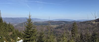 Hala Pawlusia ↔ Żabnica, Kolonia