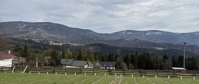 Abrahamów, rozejście szlaków ↔ Stacja Turystyczna Abrahamów