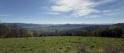 Malá Kykula, sedlo ↔ Bocanovice, les