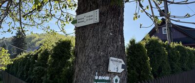 Przyborów Moczarski