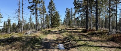 Mędralowa Zachodnia ↔ Mędralowa