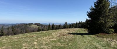 Mędralowa ↔ Modralová