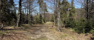 Horné Gluchačky ↔ Mędralowa Zachodnia