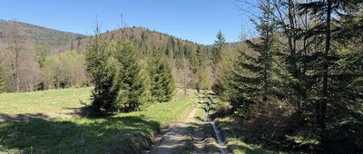 Baza namiotowa Głuchaczki