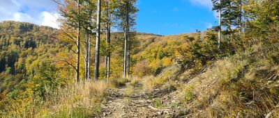 Bystra Śląska, ul. Beskidzka ↔ Przełęcz Kołowrót