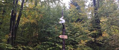 Odejście do Chaty Wuja Toma