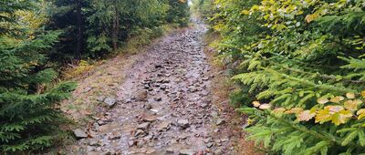 Rozejście szlaków ↔ Jaskinia Dująca