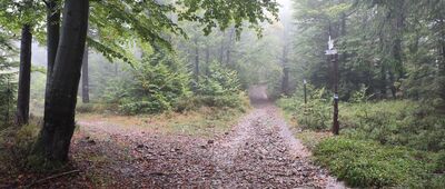 Trzy Kopce pod Klimczokiem