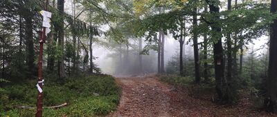 Trzy Kopce pod Klimczokiem