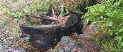 Trzy Kopce pod Klimczokiem ↔ Klimczok