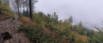 Siodło pod Klimczokiem ↔ Na Pięciu Drogach