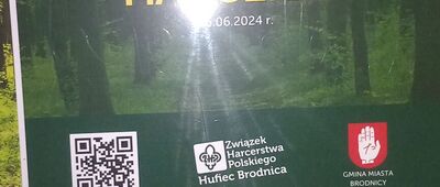Brodnica, ul. Świerkowa ↔ Brodnica, dworzec kolejowy