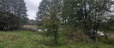 Bachotek, leśniczówka ↔ Bachotek