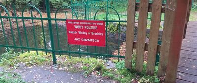 Wielgrób ↔ Grzmięca