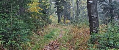 Przełęcz Kocierska ↔ Targanice, Nowa Wieś