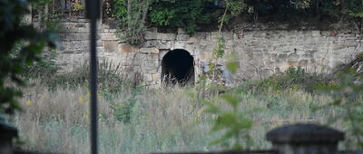 Pokrzywno, ul. Władysława Reymonta ↔ Polanica-Zdrój, stacja kolejowa