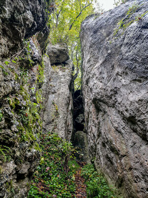 Skałki w Dolinie Brzoskwinki (Obchodnia)
