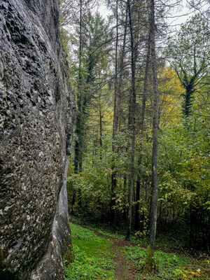 Skałki w Dolinie Brzoskwinki (Obchodnia)