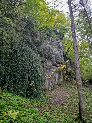 Skałki w Dolinie Brzoskwinki (Obchodnia)