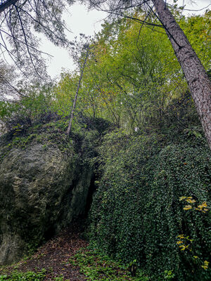 Skałki w Dolinie Brzoskwinki (Obchodnia)