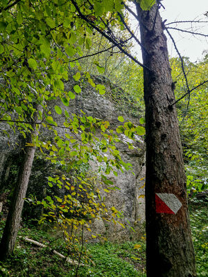 Skałki w Dolinie Brzoskwinki (Żmijowe)