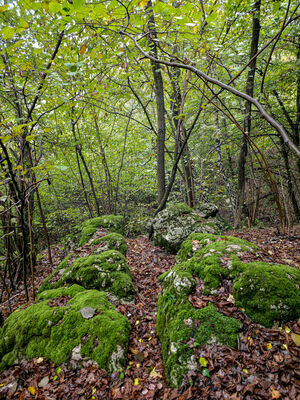 Dolina Brzoskwinki (poza szlakiem)