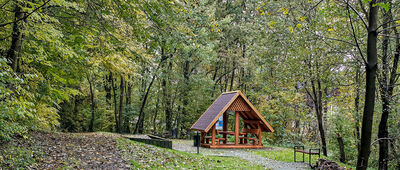 Dolina Brzoskwinki ↔ Brzoskwinia [Dolina Brzoskwinki]