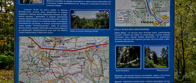 Dolina Brzoskwinki ↔ Brzoskwinia [Dolina Brzoskwinki]