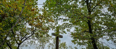Dolina Brzoskwinki ↔ Chrosna [Krzyż nad Doliną Brzoskwinki]