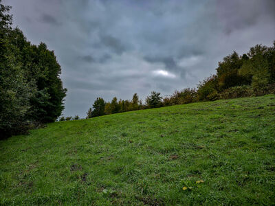 Łąki nad Doliną Brzoskwinki