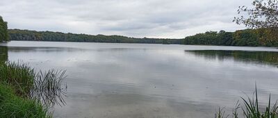 Ławica ↔ Jezioro Ławickie