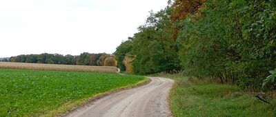 Rozejście szlaków ↔ Ławica