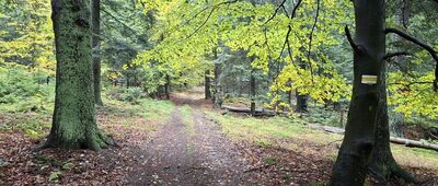 Czerszla ↔ Baniska