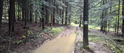 Baniska ↔ Pod Uboczem