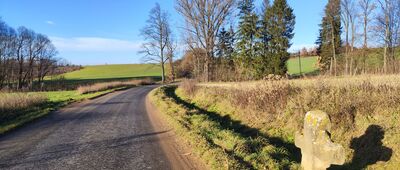 Płoszczyna ↔ Czernica