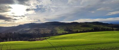 Rząśnicka Przełęcz ↔ Pod Tarczynką