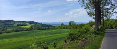 Rząśnicka Przełęcz ↔ Pod Tarczynką
