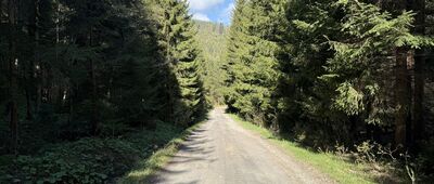 Limier ↔ Biela Farma