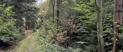 Przełęcz pod Czarnochem